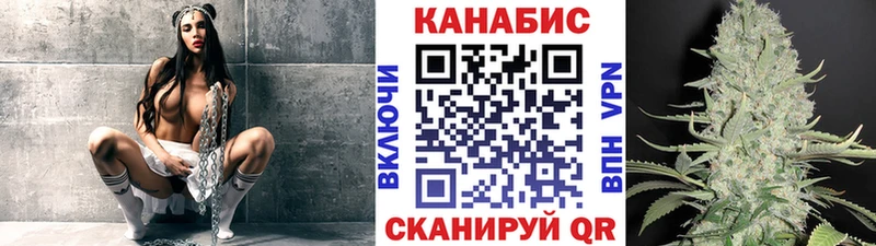 сколько стоит  Новосиль  Конопля White Widow 